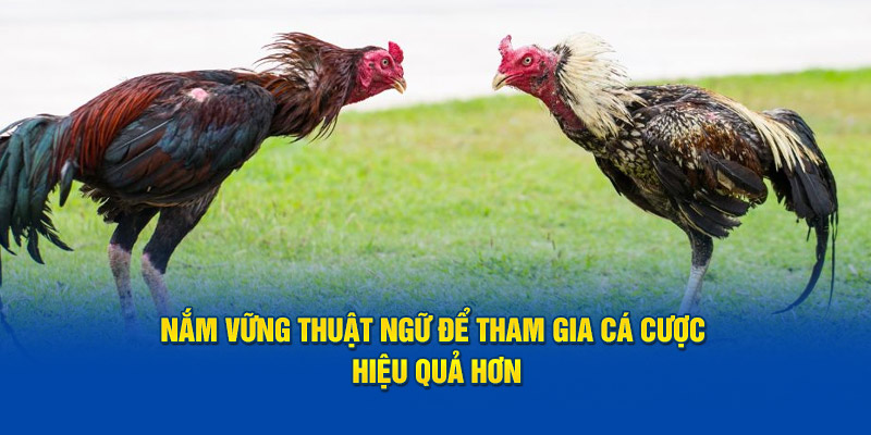 Nắm vững thuật ngữ để tham gia cá cược hiệu quả hơn.